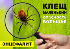 Осторожно! Клещевой энцефалит Осторожно! Клещевой энцефалит.