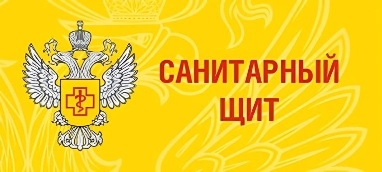 О реализации коммуникационной стратегии «Санпросвет» О реализации коммуникационной стратегии «Санпросвет».