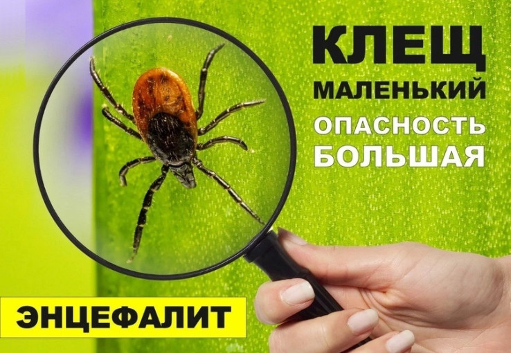 Осторожно! Клещевой энцефалит Осторожно! Клещевой энцефалит.